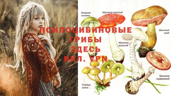 спайс Абаза