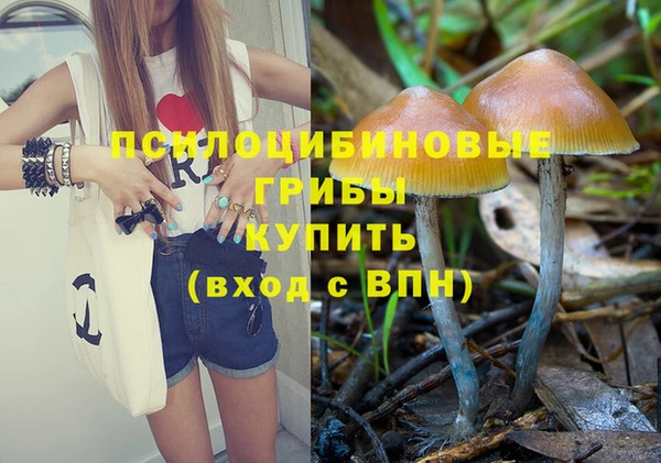 спайс Абаза