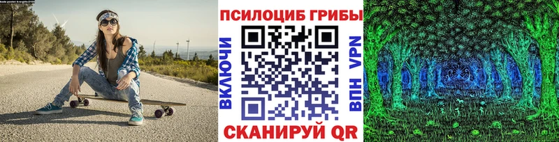 Псилоцибиновые грибы MAGIC MUSHROOMS закладки дарк нет клад Яхрома