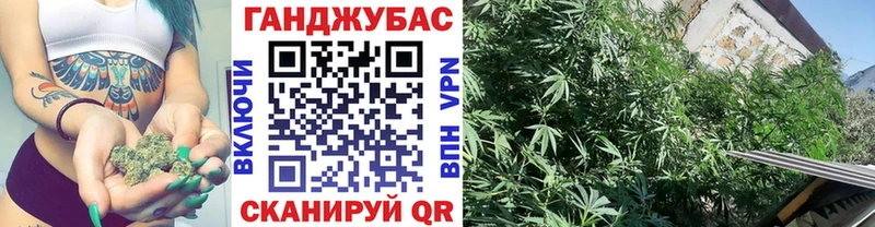 Канабис Amnesia  Яхрома 